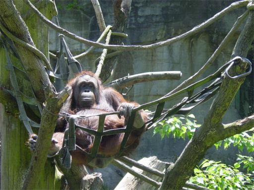 Me after I lose my job.